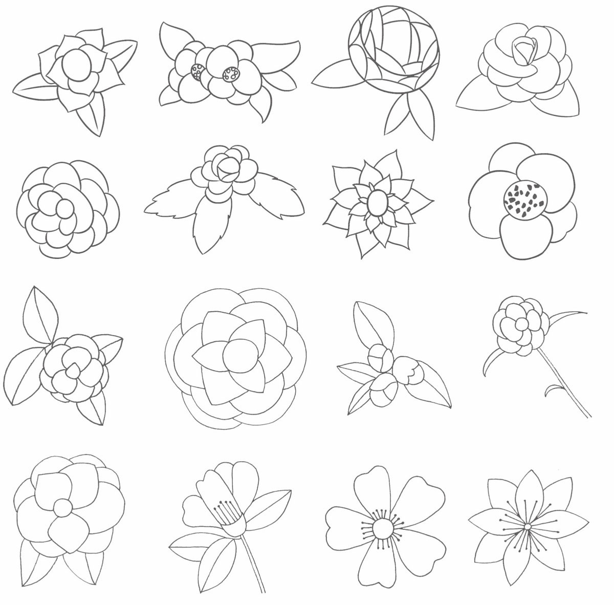 山茶花简笔画