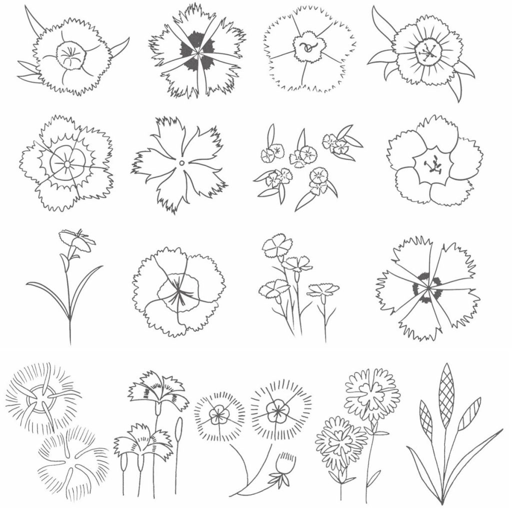石竹简笔画