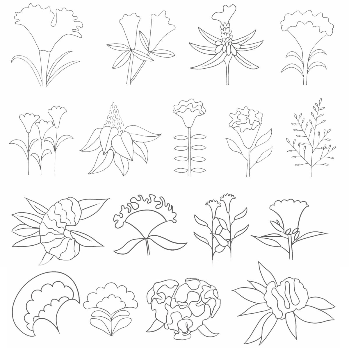 鸡冠花简笔画