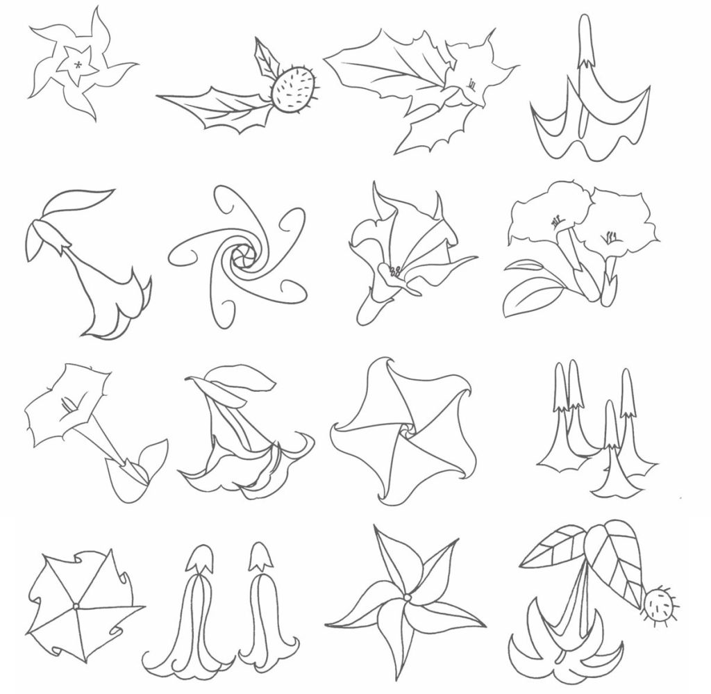 曼陀罗简笔画