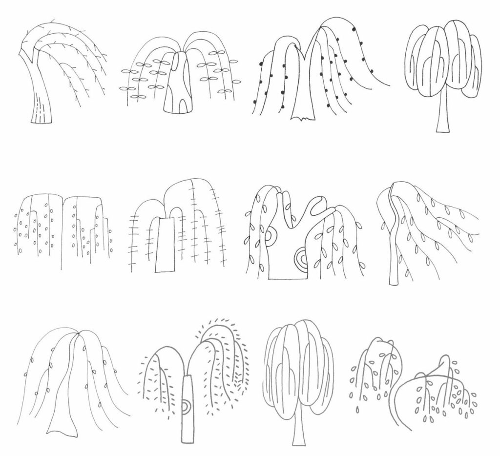 柳树简笔画