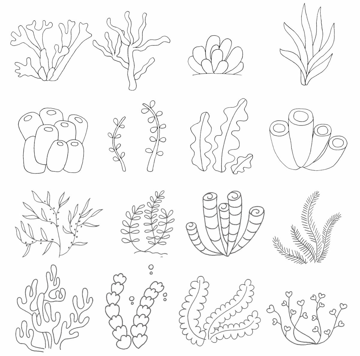 海底植物简笔画
