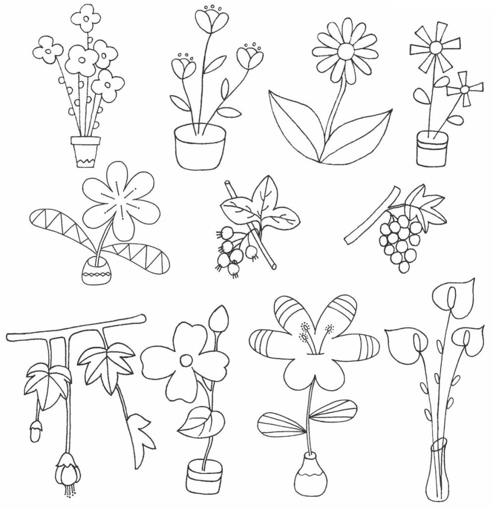 植物简笔画