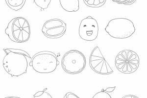 柠檬简笔画