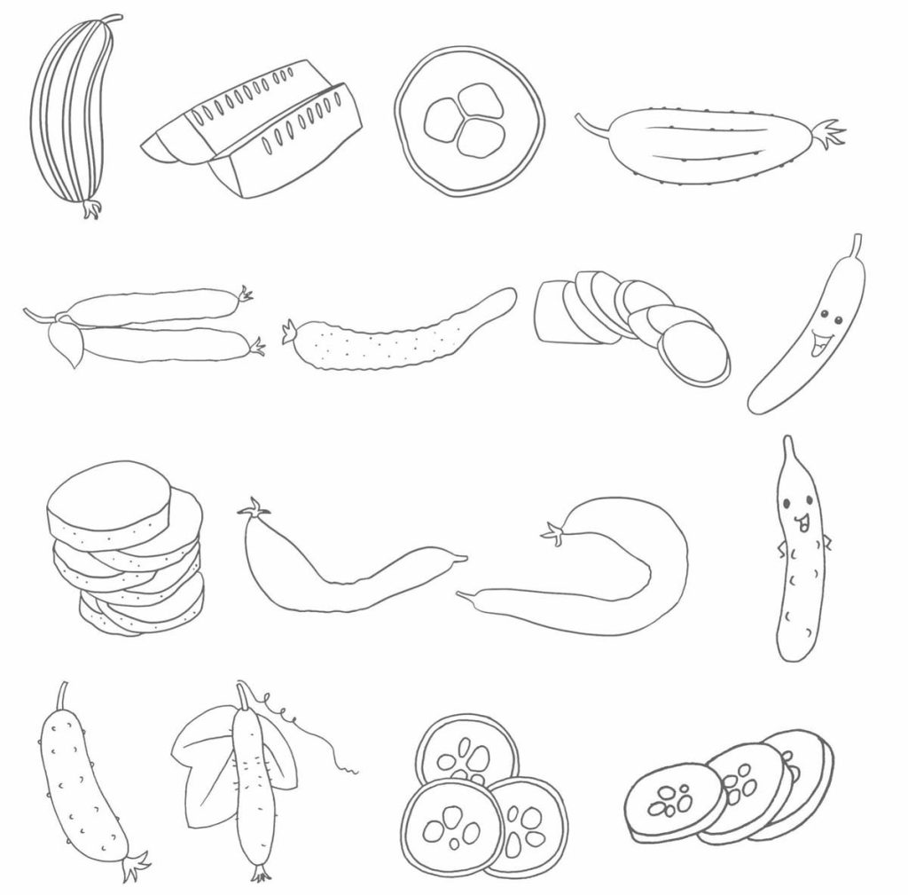 黄瓜简笔画