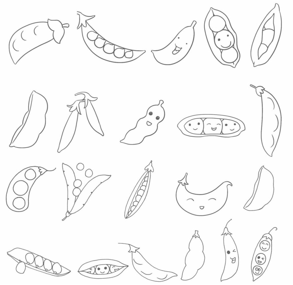 豌豆简笔画