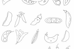 豌豆简笔画