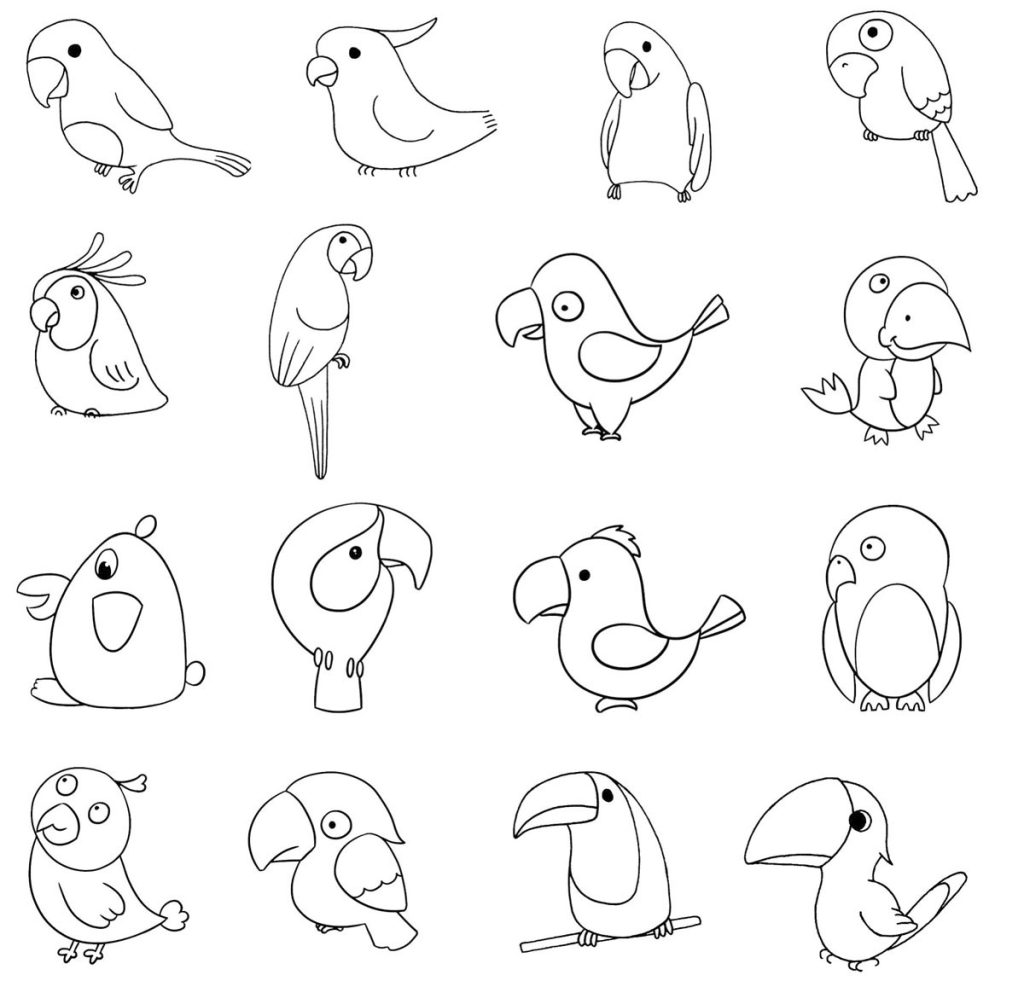鹦鹉简笔画