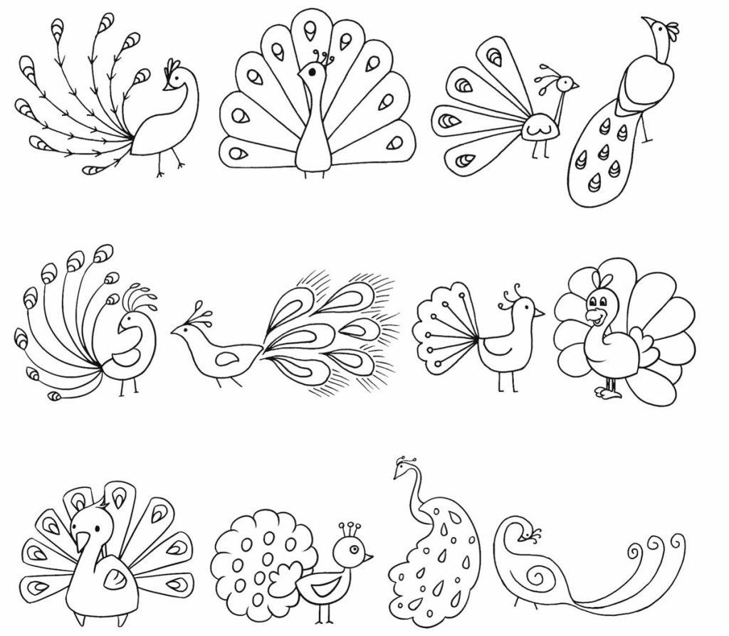 孔雀简笔画