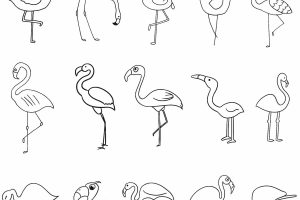 火烈鸟简笔画