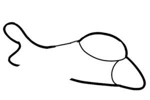 飞机简笔画
