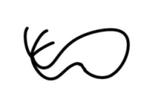 月亮简笔画