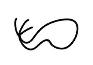 月亮简笔画