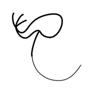 月亮简笔画