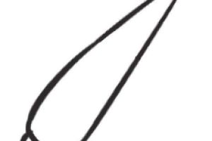 白菜简笔画
