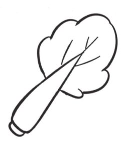 白菜简笔画