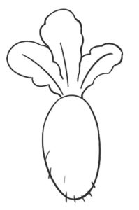 萝卜简笔画