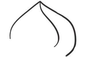 桃子简笔画