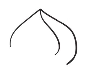 桃子简笔画