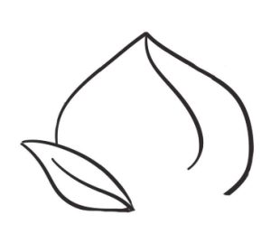 桃子简笔画