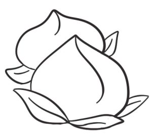 桃子简笔画