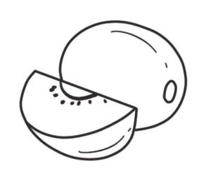 哈密瓜简笔画