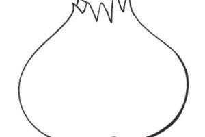大蒜简笔画