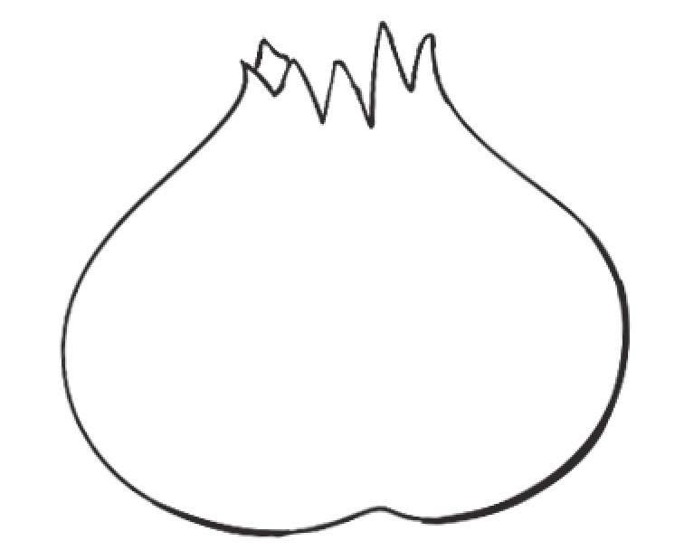 大蒜简笔画