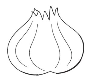 大蒜简笔画