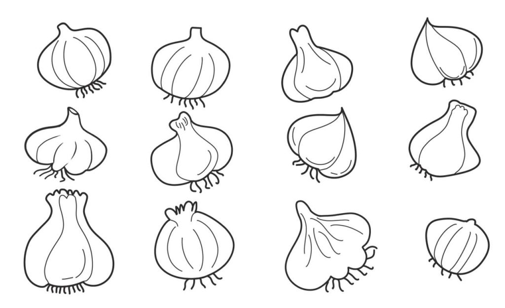 大蒜简笔画