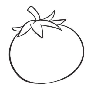 西红柿简笔画