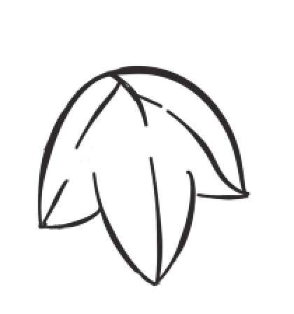 葡萄简笔画