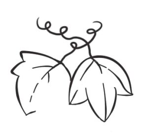 葡萄简笔画