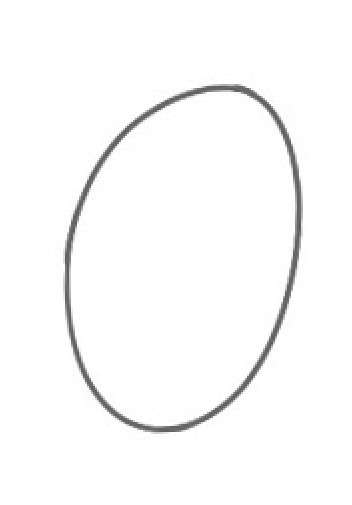 莲藕简笔画