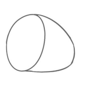 莲藕简笔画