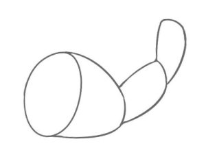 莲藕简笔画