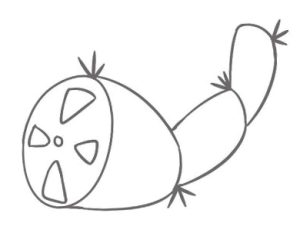 莲藕简笔画