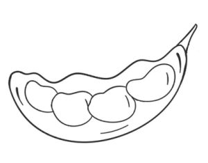 豌豆简笔画