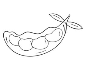 豌豆简笔画