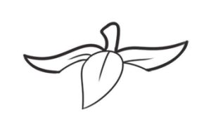 草莓简笔画