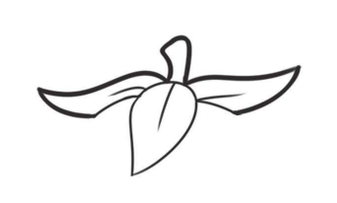 草莓简笔画