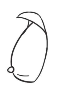 芒果简笔画