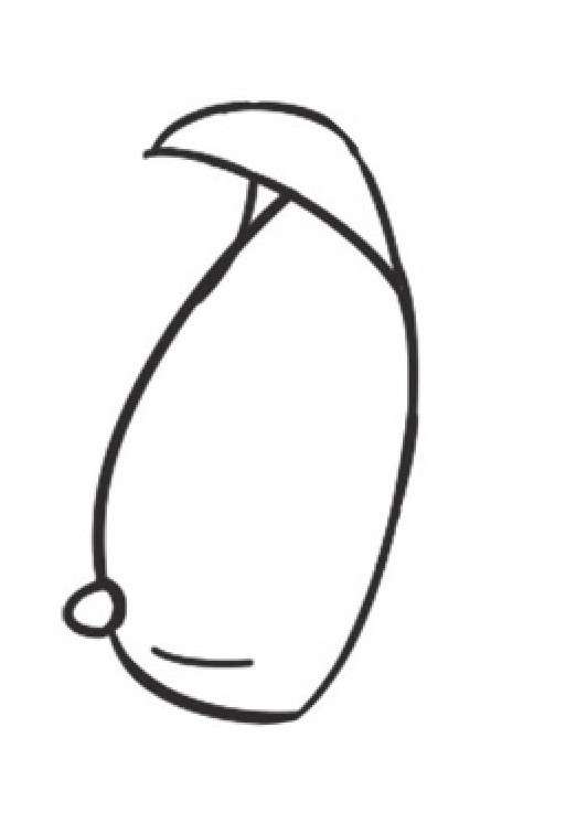 芒果简笔画