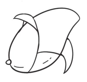 芒果简笔画