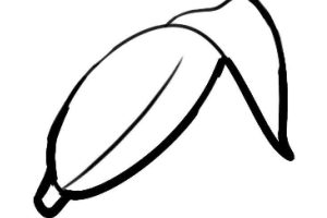 香蕉简笔画