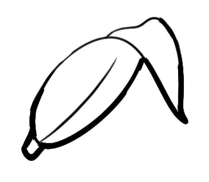 香蕉简笔画