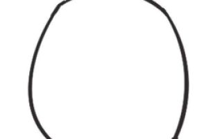 南瓜简笔画
