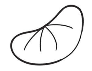 橘子简笔画