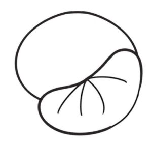 橘子简笔画