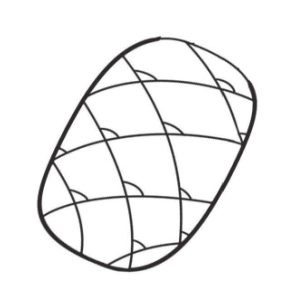 菠萝简笔画
